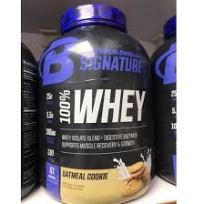 پروتئین وی بادی بیلدینگ 67 سروینگ Bodybuilding 100% Whey Protein