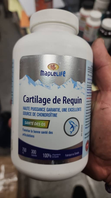 غضروف ساز کوسه ۳۰۰عددی مپل لایف